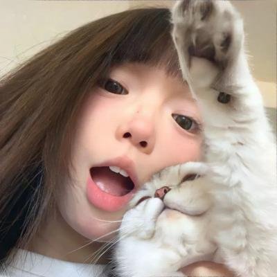 白色驯鹿海报